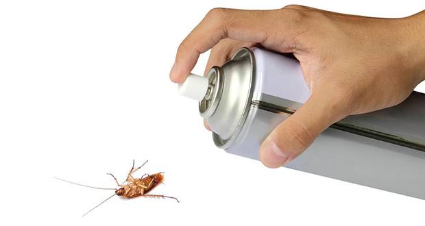   0533278470 Pest-control-compani